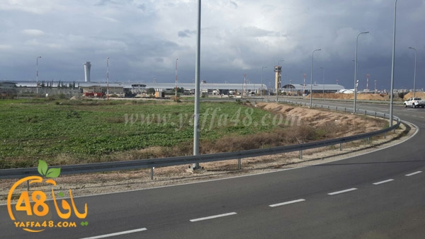 bengoruyouna (5).jpg